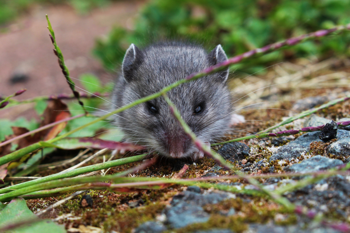 ERHYG-Newsletter-novembre-24-(1)-8