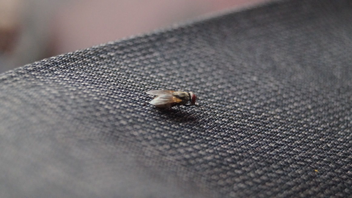 ERHYG-Newsletter-Août-2025-8