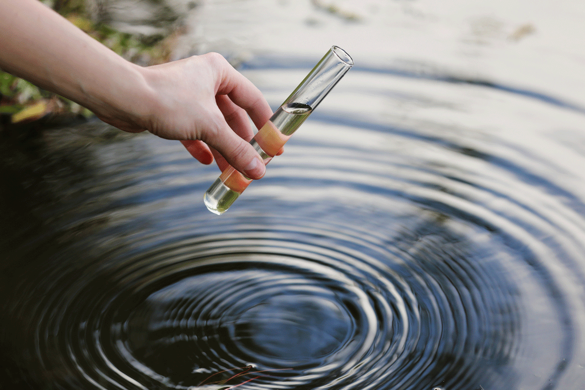 ERHYG-Newsletter-Décembre-2025-(1)-9