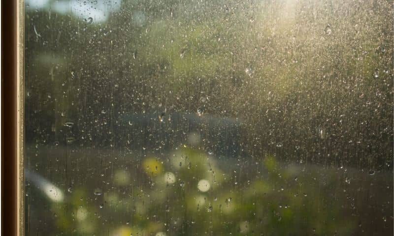 Condensation et buée sur une vitre en été signe d'une VMC en panne à Rouen et au Havre.