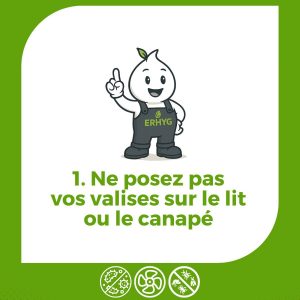 Diagnostic et traitement professionnel des punaises de lit à Rouen et Le Havre par ERHYG.