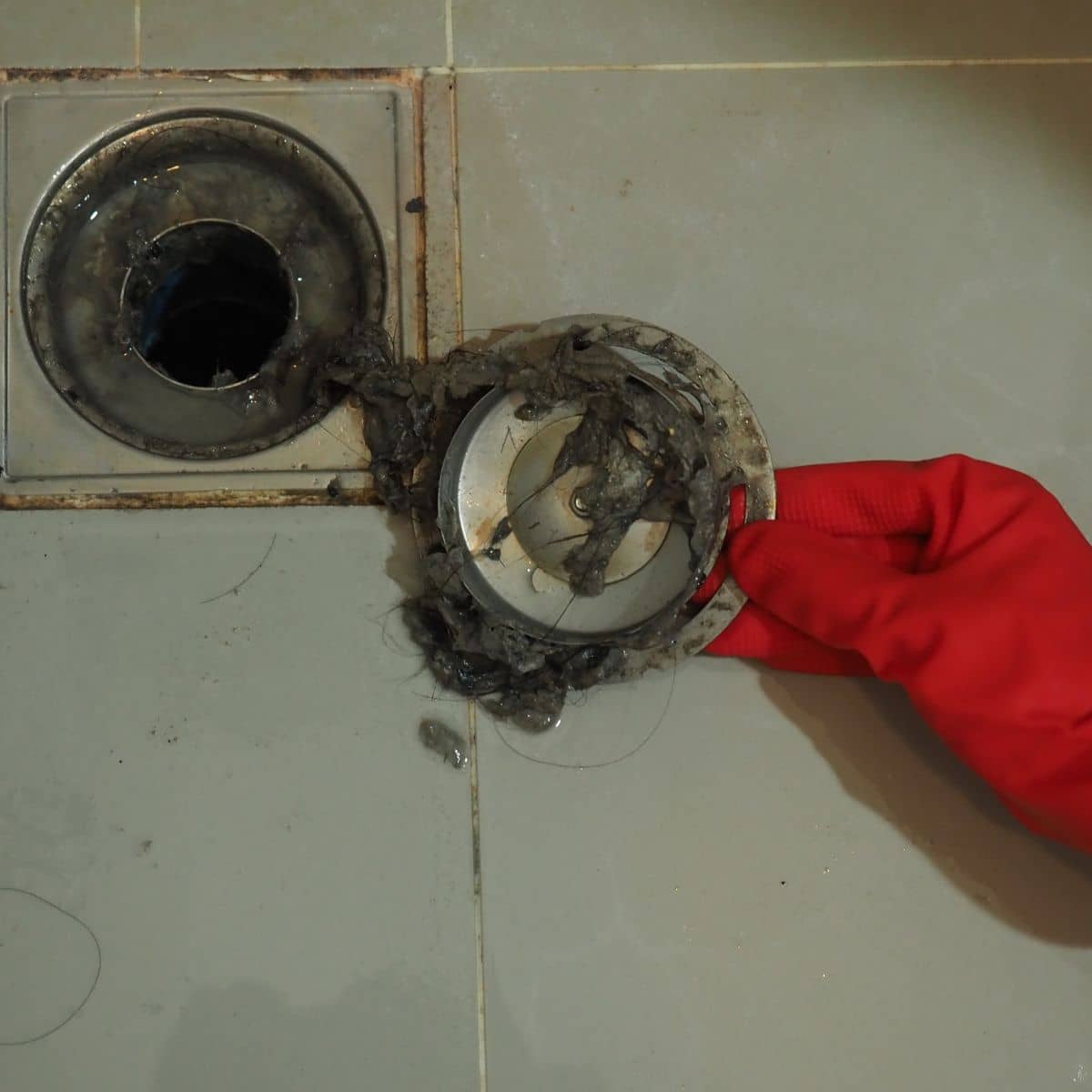 Urgence assainissement : comment réagir face à un refoulement de canalisation ?